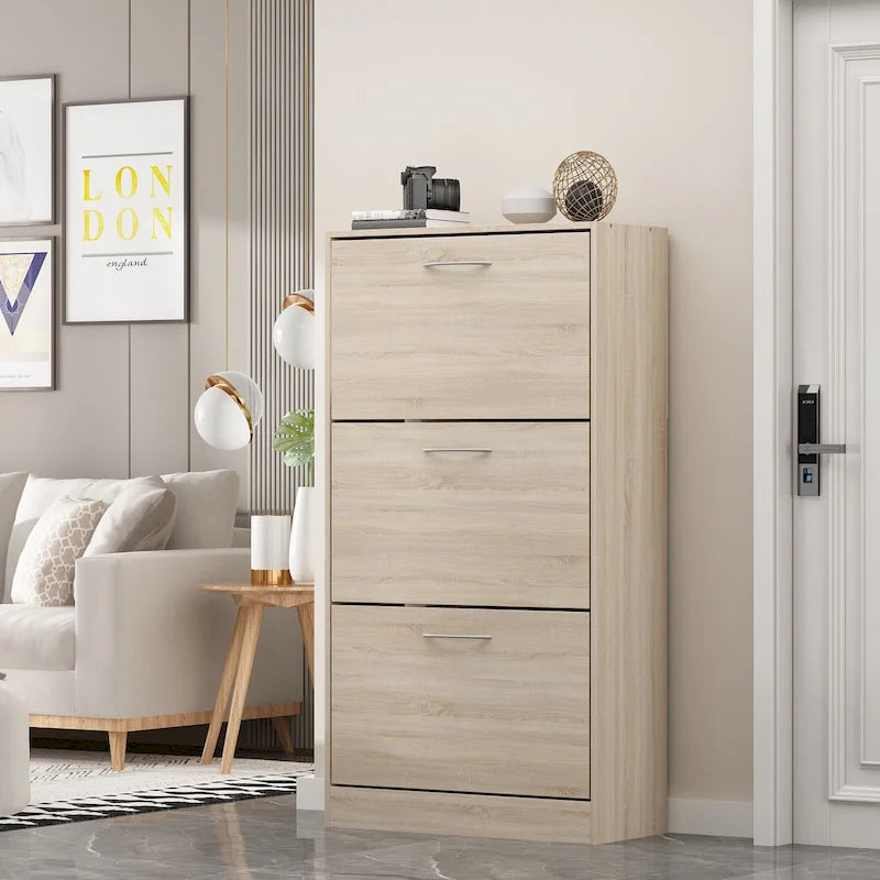 Modern Shoe Storage Cabinet for Entryway, 2 Tier Floor Shoes Cabinet