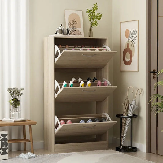 Modern Shoe Storage Cabinet for Entryway, 2 Tier Floor Shoes Cabinet
