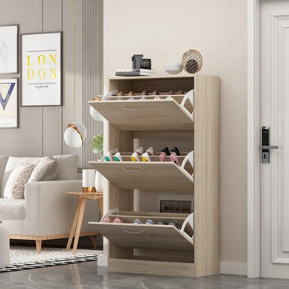 Modern Shoe Storage Cabinet for Entryway, 2 Tier Floor Shoes Cabinet