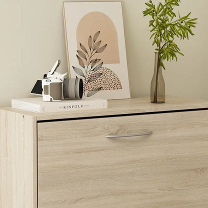 Modern Shoe Storage Cabinet for Entryway, 2 Tier Floor Shoes Cabinet