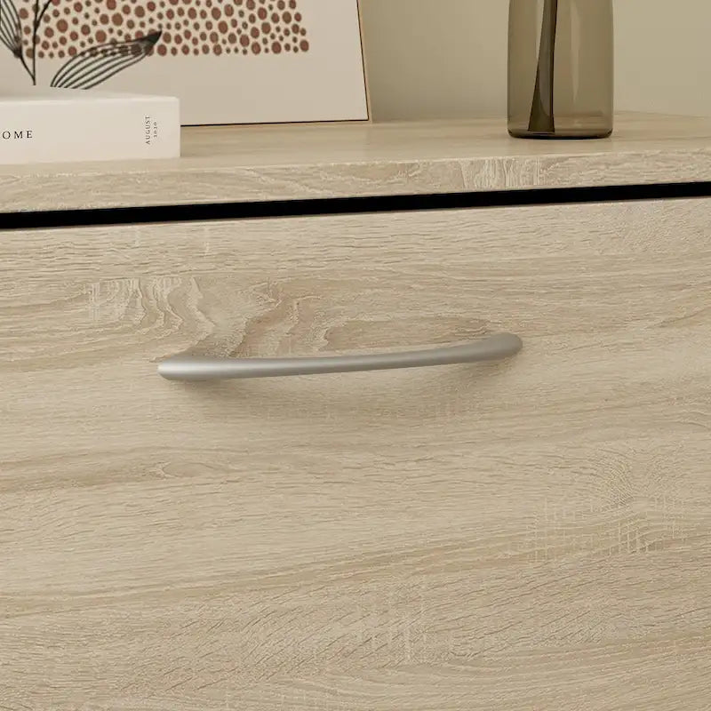 Modern Shoe Storage Cabinet for Entryway, 2 Tier Floor Shoes Cabinet