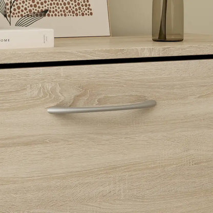 Modern Shoe Storage Cabinet for Entryway, 2 Tier Floor Shoes Cabinet