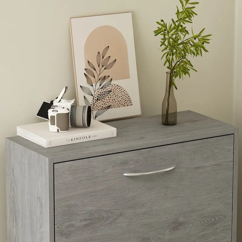 Modern Shoe Storage Cabinet for Entryway, 2 Tier Floor Shoes Cabinet