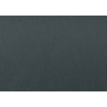 Roxine Dark Gray Top Grain Leather Love Seat